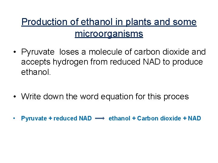Production of ethanol in plants and some microorganisms • Pyruvate loses a molecule of