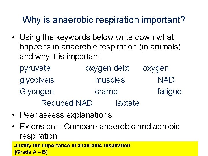 Why is anaerobic respiration important? • Using the keywords below write down what happens