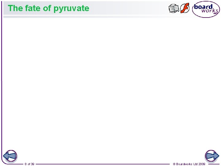 The fate of pyruvate 8 of 39 © Boardworks Ltd 2009 