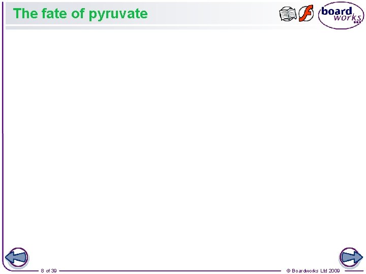 The fate of pyruvate 8 of 39 © Boardworks Ltd 2009 