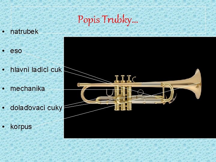 Popis Trubky. . . • natrubek • eso • hlavní ladící cuk • mechanika