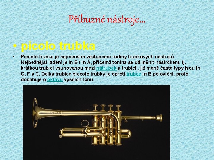 Příbuzné nástroje. . . • picolo trubka • Piccolo trubka je nejmenším zástupcem rodiny