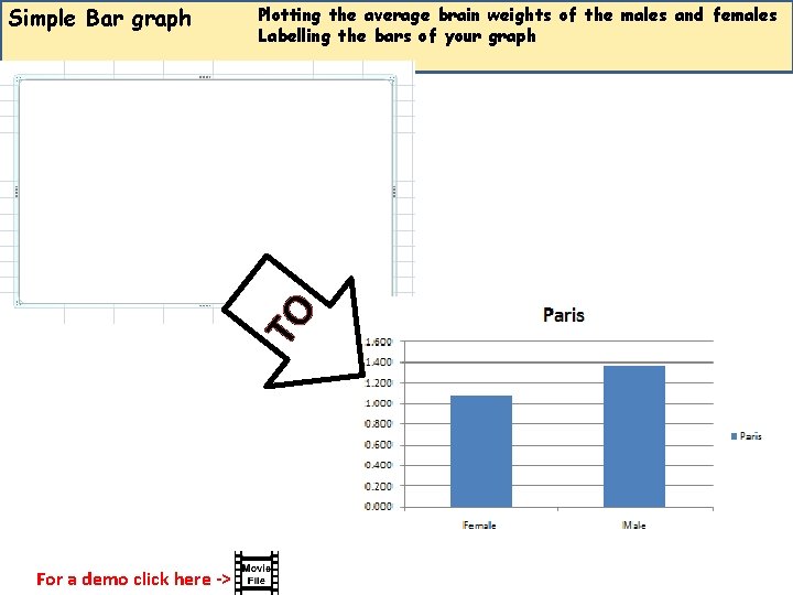 Plotting the average brain weights of the males and females Labelling the bars of