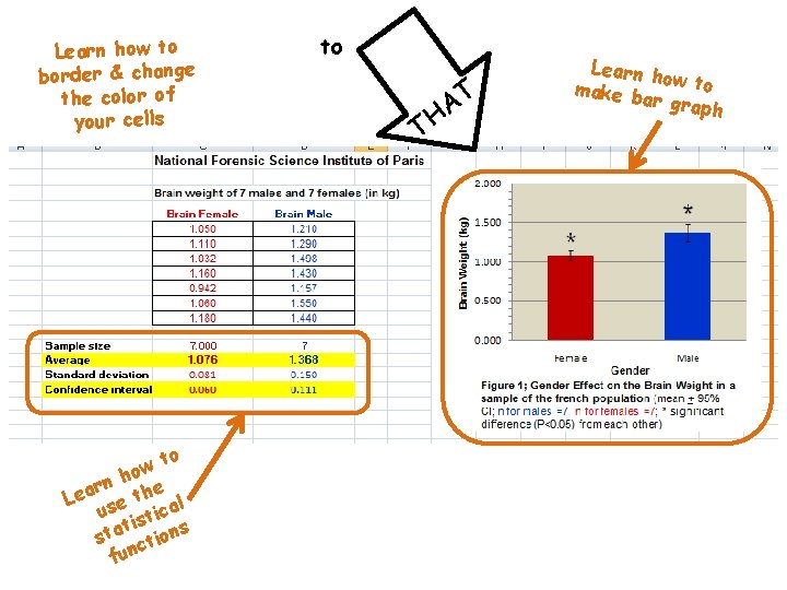 Learn how to border & change the color of your cells to w ho