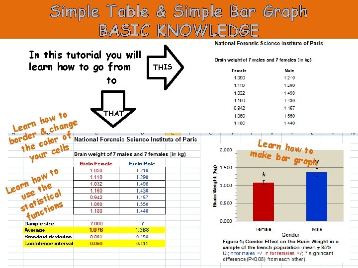 Simple Table & Simple Bar Graph BASIC KNOWLEDGE In this tutorial you will learn