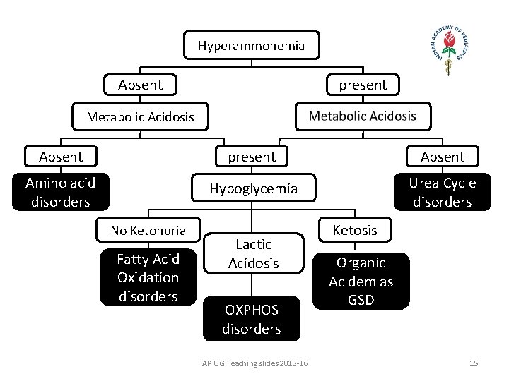 Hyperammonemia Absent present Metabolic Acidosis Absent present Absent Amino acid disorders Hypoglycemia Urea Cycle