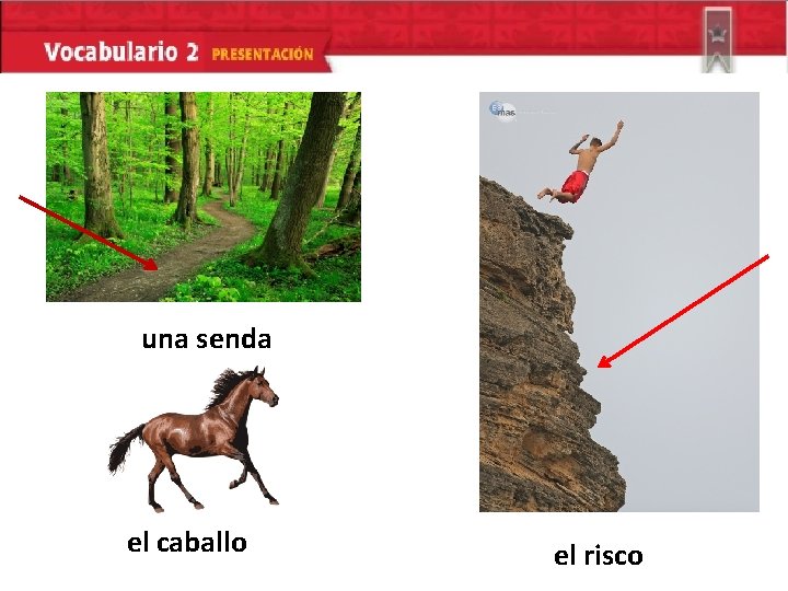 una senda el caballo el risco 