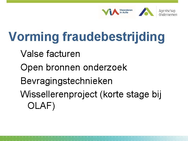 Vorming fraudebestrijding Valse facturen Open bronnen onderzoek Bevragingstechnieken Wissellerenproject (korte stage bij OLAF) 