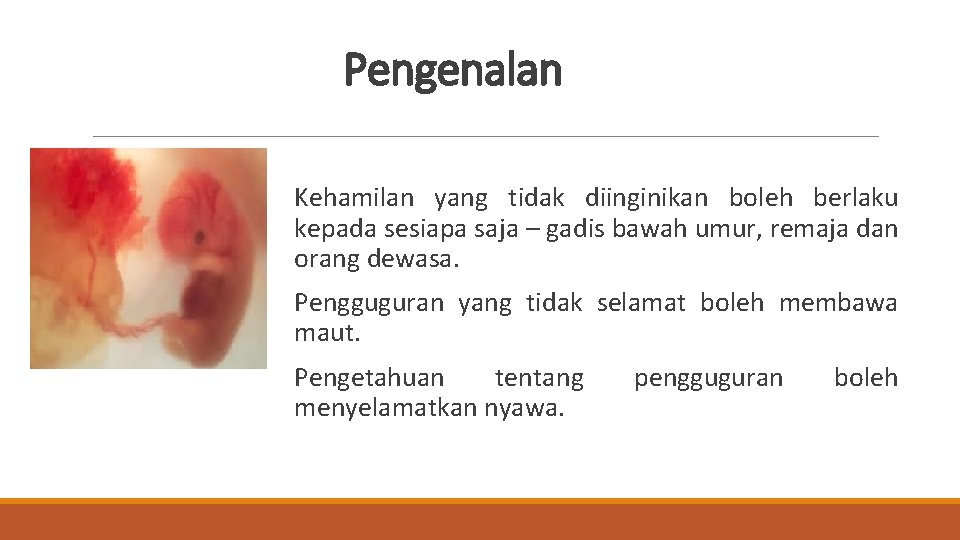 Pengenalan Kehamilan yang tidak diinginikan boleh berlaku kepada sesiapa saja – gadis bawah umur,