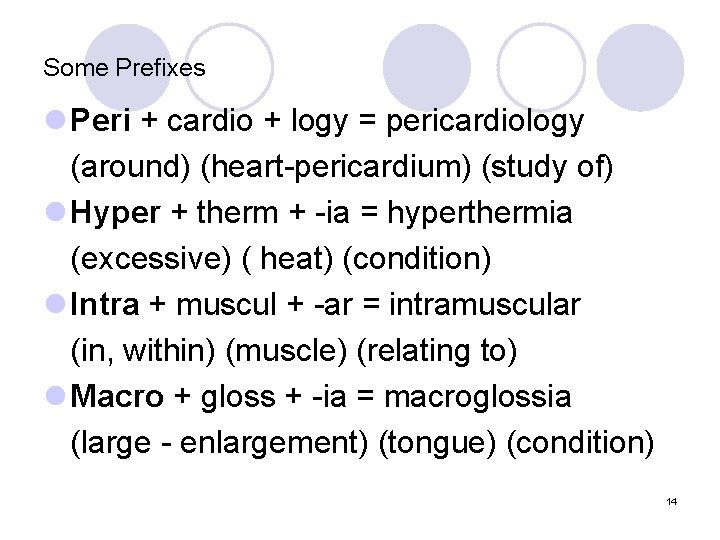 Some Prefixes l Peri + cardio + logy = pericardiology (around) (heart-pericardium) (study of)