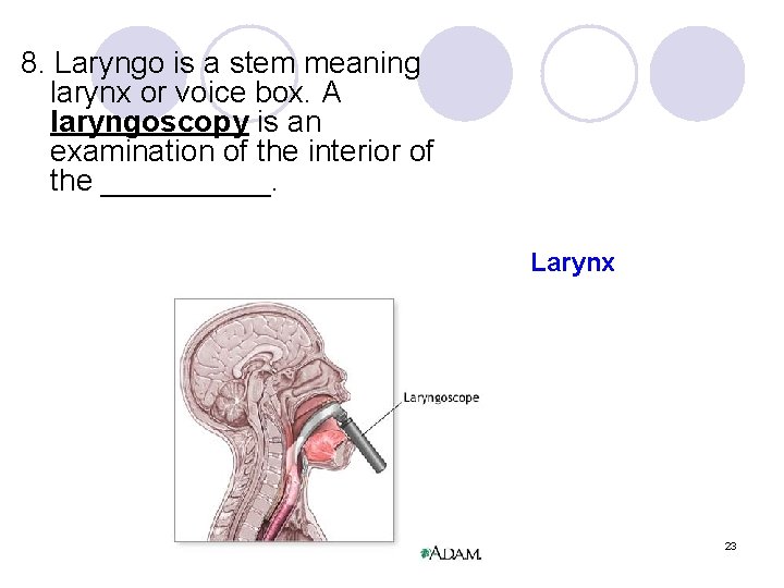 8. Laryngo is a stem meaning larynx or voice box. A laryngoscopy is an
