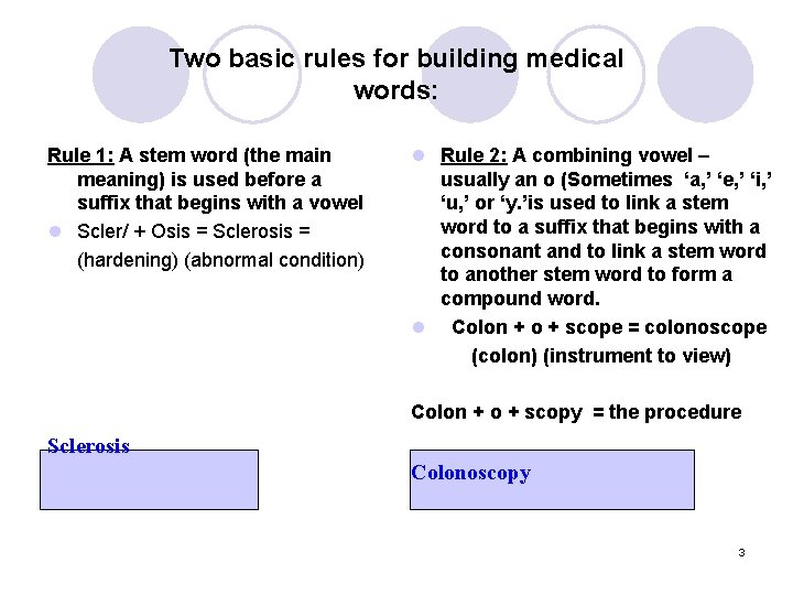 Two basic rules for building medical words: Rule 1: A stem word (the main
