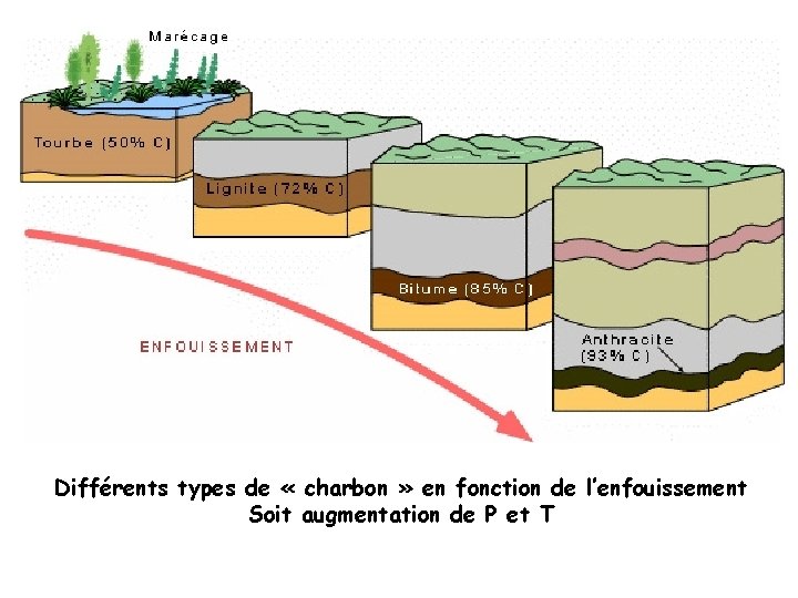 Différents types de « charbon » en fonction de l’enfouissement Soit augmentation de P