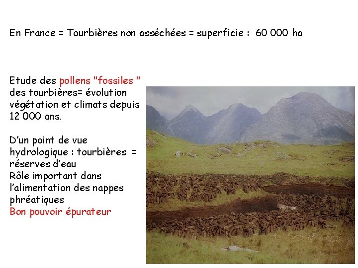 En France = Tourbières non asséchées = superficie : 60 000 ha Etude des