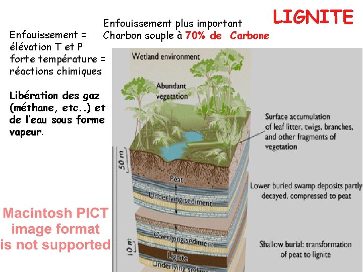 Enfouissement plus important Charbon souple à 70% de Carbone Enfouissement = élévation T et