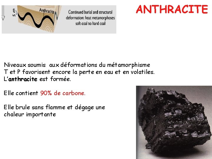 ANTHRACITE Niveaux soumis aux déformations du métamorphisme T et P favorisent encore la perte