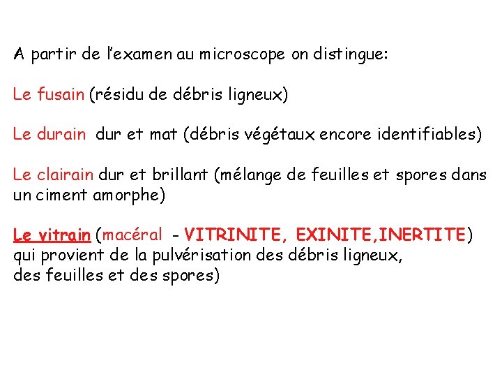 A partir de l’examen au microscope on distingue: Le fusain (résidu de débris ligneux)