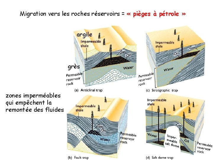 Migration vers les roches réservoirs = « pièges à pétrole » argile grès zones