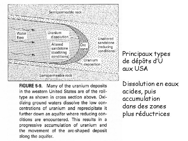 Principaux types de dépôts d’U aux USA Dissolution en eaux acides, puis accumulation dans