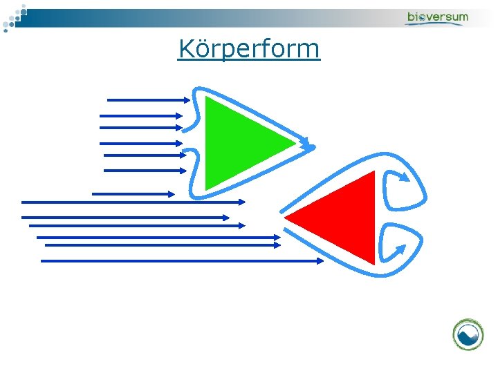 Körperform 