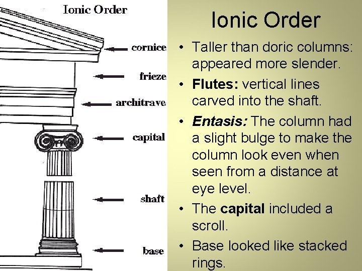 Ionic Order • Taller than doric columns: appeared more slender. • Flutes: vertical lines