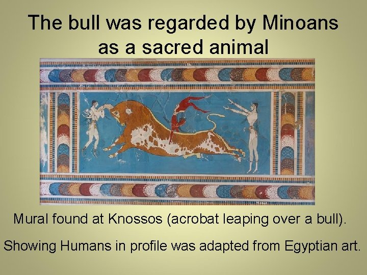 The bull was regarded by Minoans as a sacred animal Mural found at Knossos