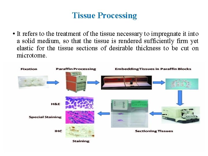 Tissue Processing • It refers to the treatment of the tissue necessary to impregnate