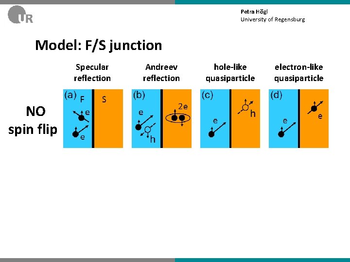 Petra Högl University of Regensburg Model: F/S junction Specular reflection NO spin flip Andreev