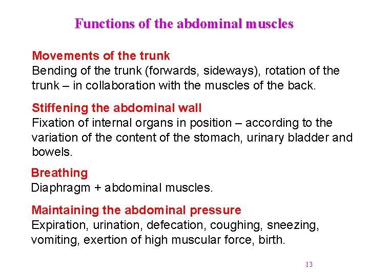 Functions of the abdominal muscles Movements of the trunk Bending of the trunk (forwards, Functions of the abdominal muscles Movements of the trunk Bending of the trunk (forwards,