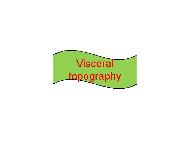 Visceral topography  Visceral topography