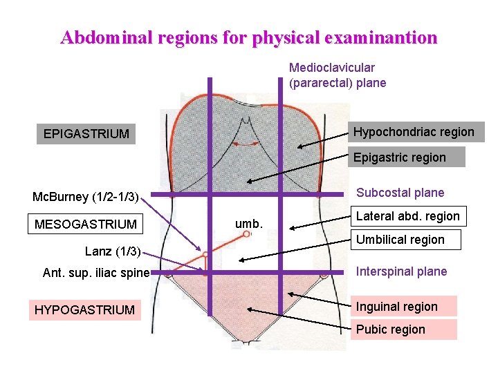 Abdominal regions for physical examinantion Medioclavicular (pararectal) plane Hypochondriac region EPIGASTRIUM Epigastric region Subcostal Abdominal regions for physical examinantion Medioclavicular (pararectal) plane Hypochondriac region EPIGASTRIUM Epigastric region Subcostal