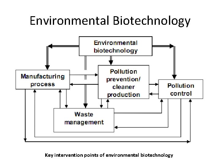 Environmental Biotechnology Key intervention points of environmental biotechnology 