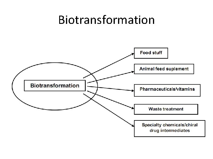 Biotransformation 