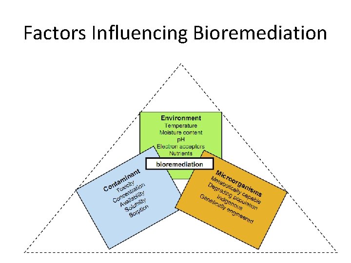 Factors Influencing Bioremediation 