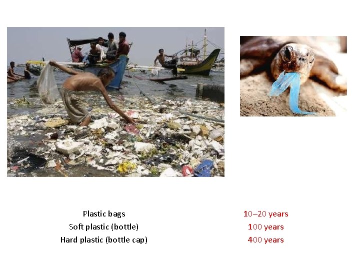Plastic bags Soft plastic (bottle) Hard plastic (bottle cap) 10– 20 years 100 years