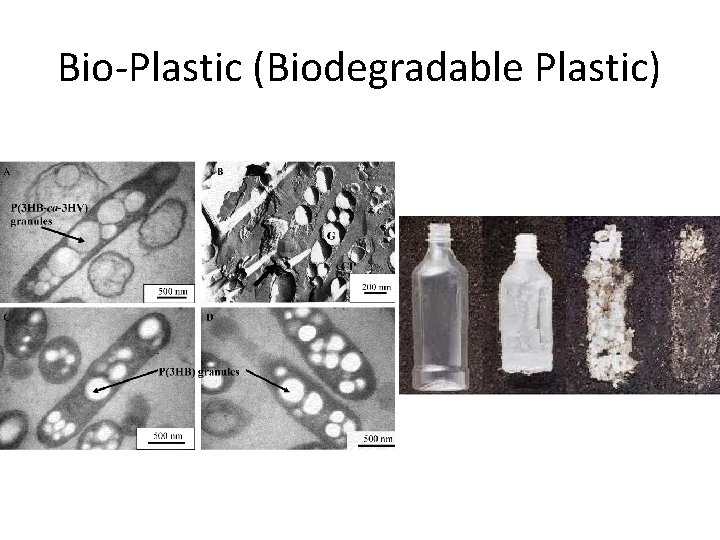 Bio-Plastic (Biodegradable Plastic) 