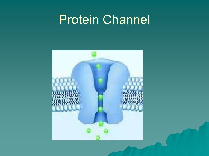 Protein Channel 