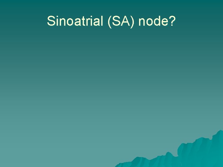 Sinoatrial (SA) node? 