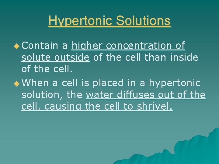 Hypertonic Solutions u Contain a higher concentration of solute outside of the cell than