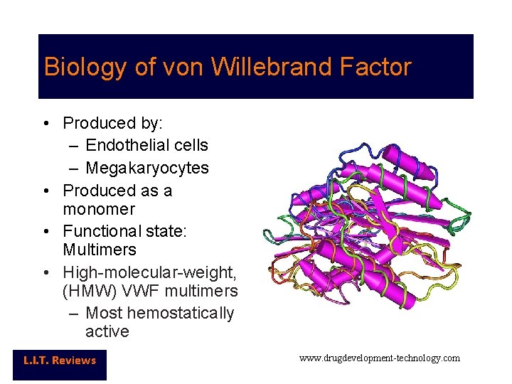 Biology of von Willebrand Factor • Produced by: – Endothelial cells – Megakaryocytes •