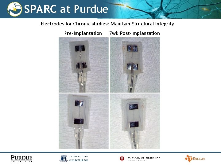 SPARC at Purdue Electrodes for Chronic studies: Maintain Structural Integrity Pre-Implantation 7 wk Post-Implantation