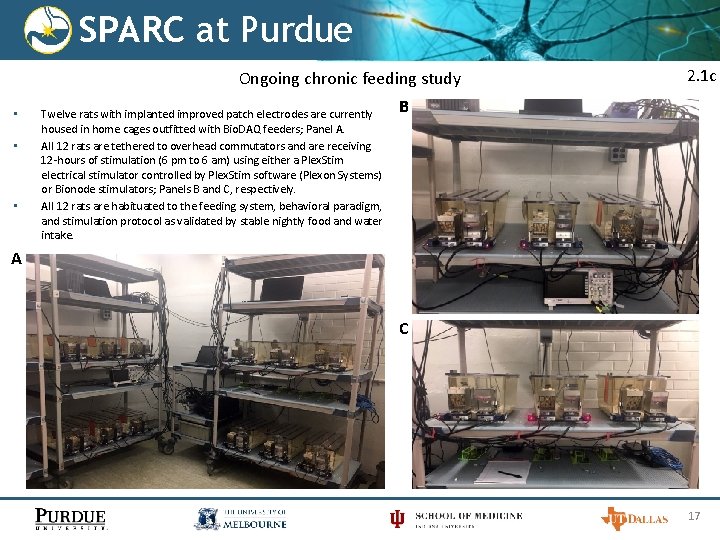 SPARC at Purdue Ongoing chronic feeding study • • • Twelve rats with implanted