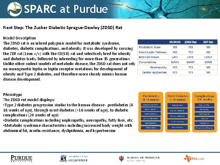 SPARC at Purdue Next Step: The Zucker Diabetic Sprague-Dawley (ZDSD) Rat Model Description The