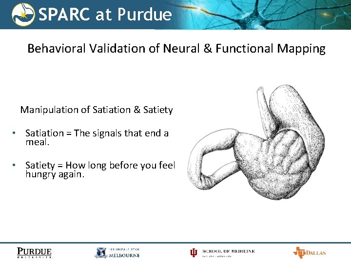SPARC at Purdue Behavioral Validation of Neural & Functional Mapping Manipulation of Satiation &