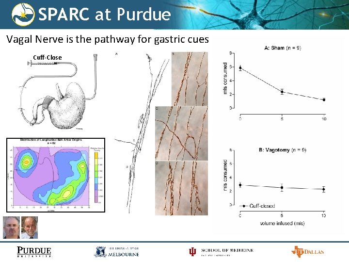 SPARC at Purdue Vagal Nerve is the pathway for gastric cues Cuff-Close 