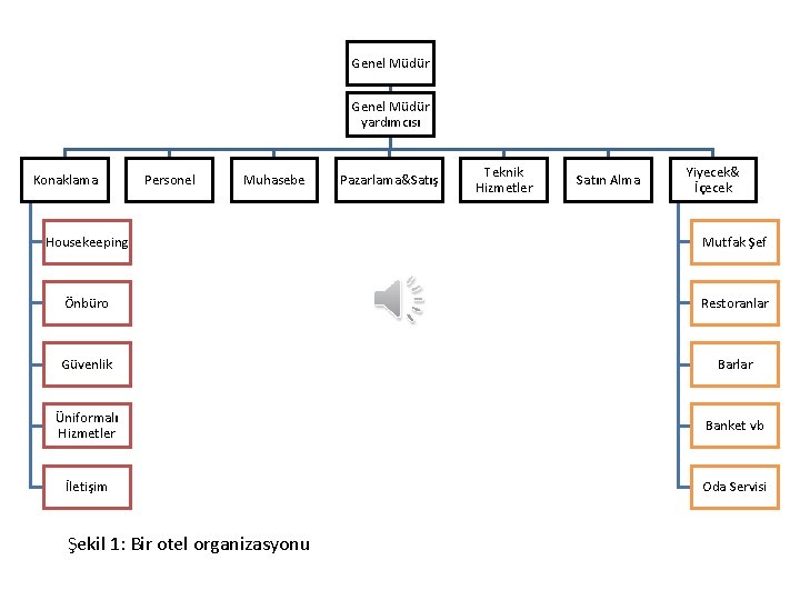 Genel Müdür yardımcısı Konaklama Personel Muhasebe Pazarlama&Satış Teknik Hizmetler Satın Alma Yiyecek& İçecek Housekeeping