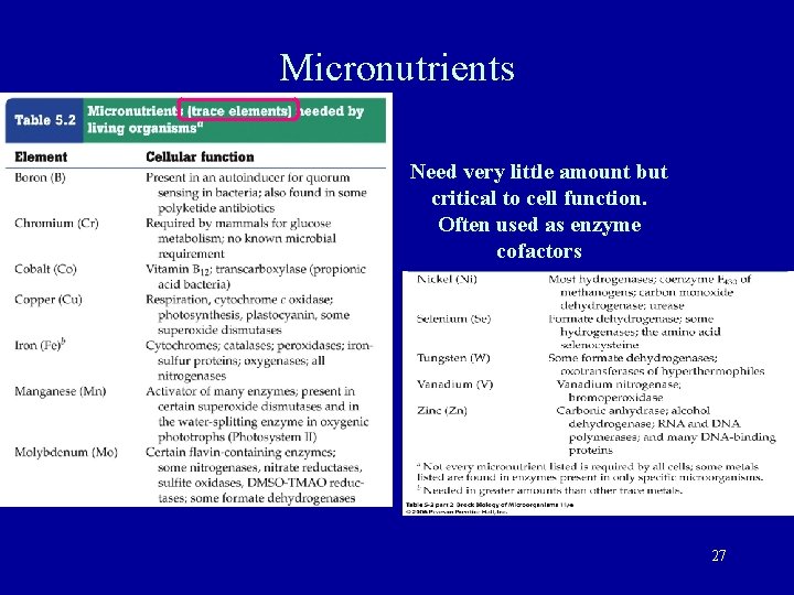 Micronutrients Need very little amount but critical to cell function. Often used as enzyme