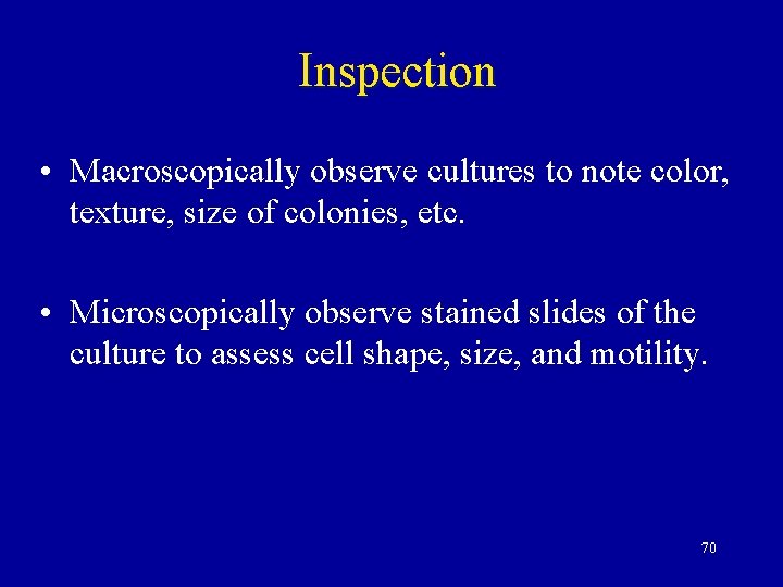 Inspection • Macroscopically observe cultures to note color, texture, size of colonies, etc. •