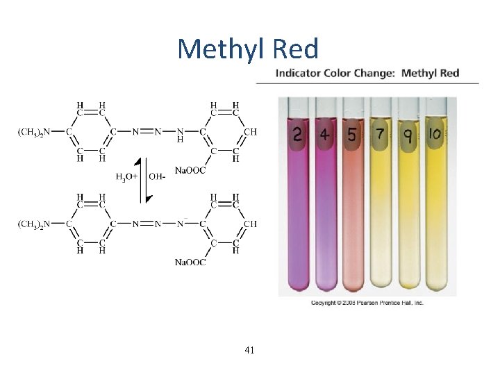 Methyl Red 41 