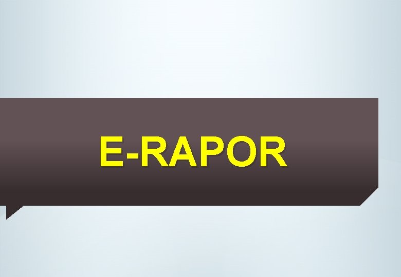 E-RAPOR 